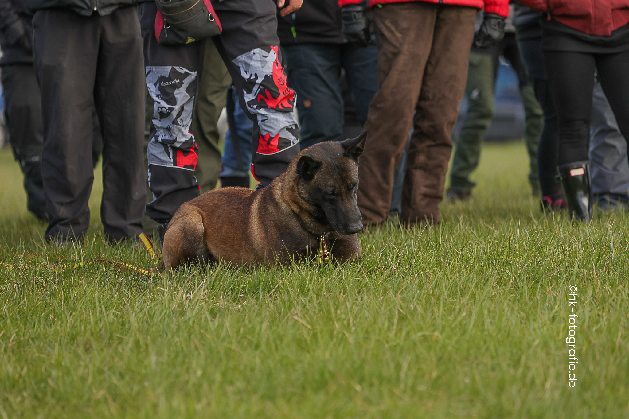 20260327_KNUTFUCHS-108