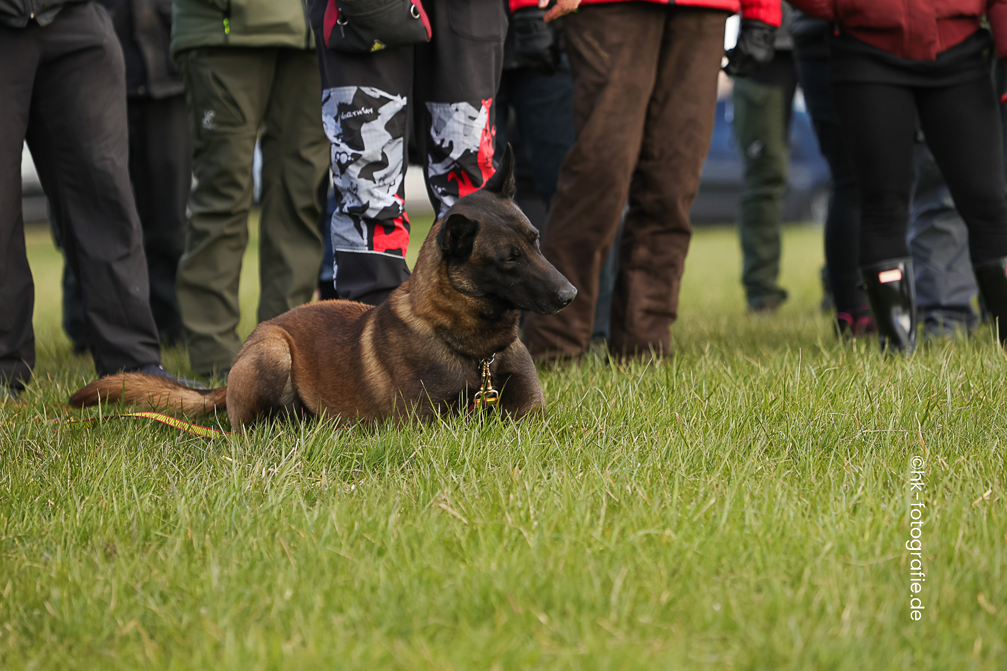 20260327_KNUTFUCHS-109