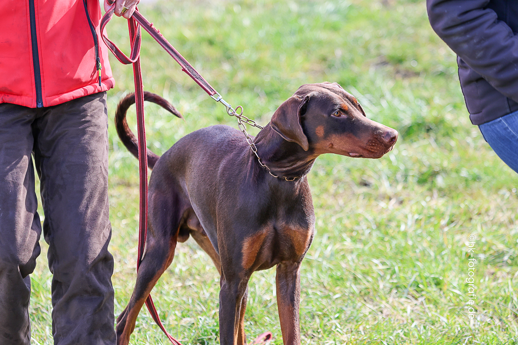 20260327_KNUTFUCHS-30