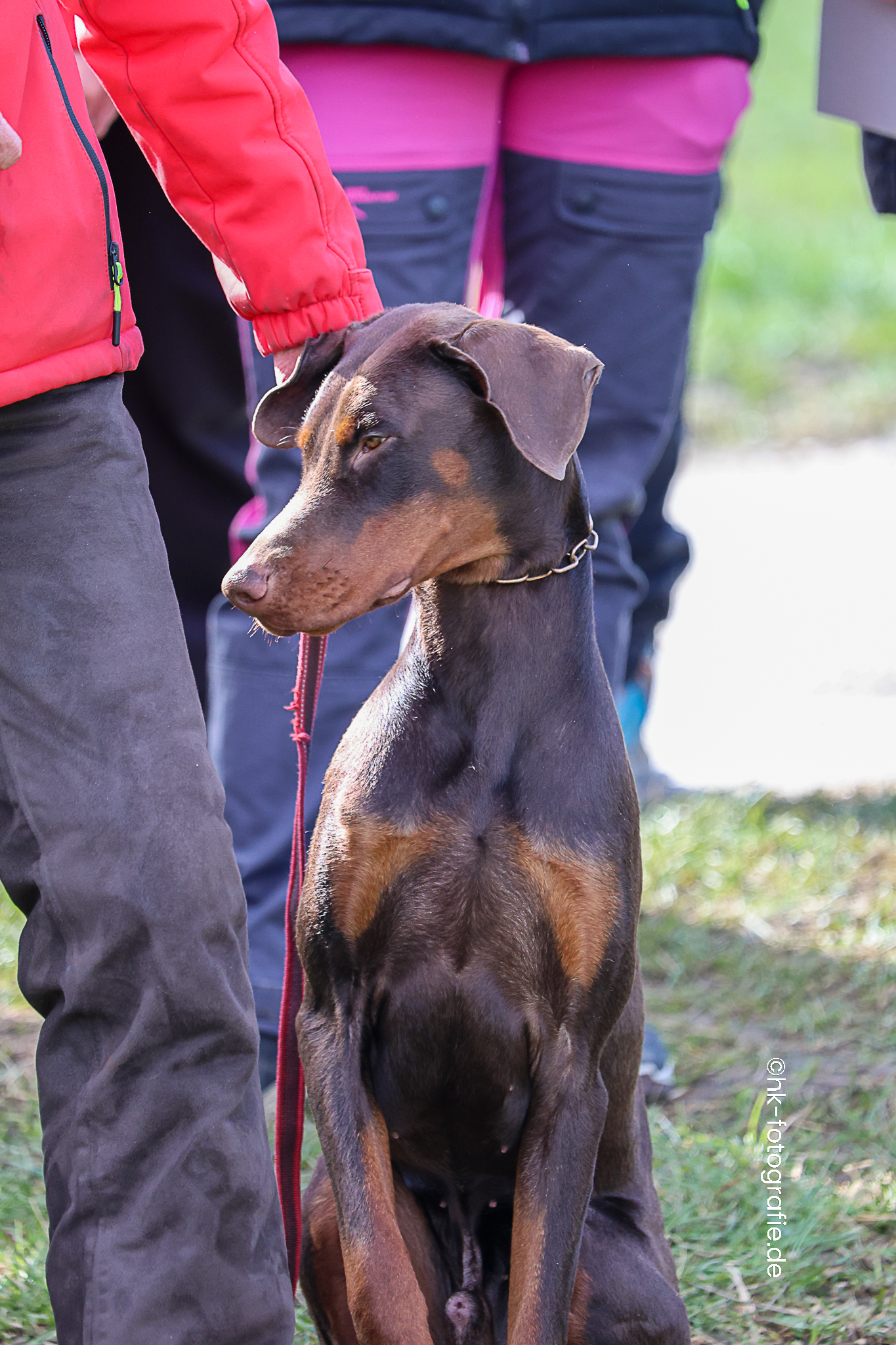 20260327_KNUTFUCHS-36