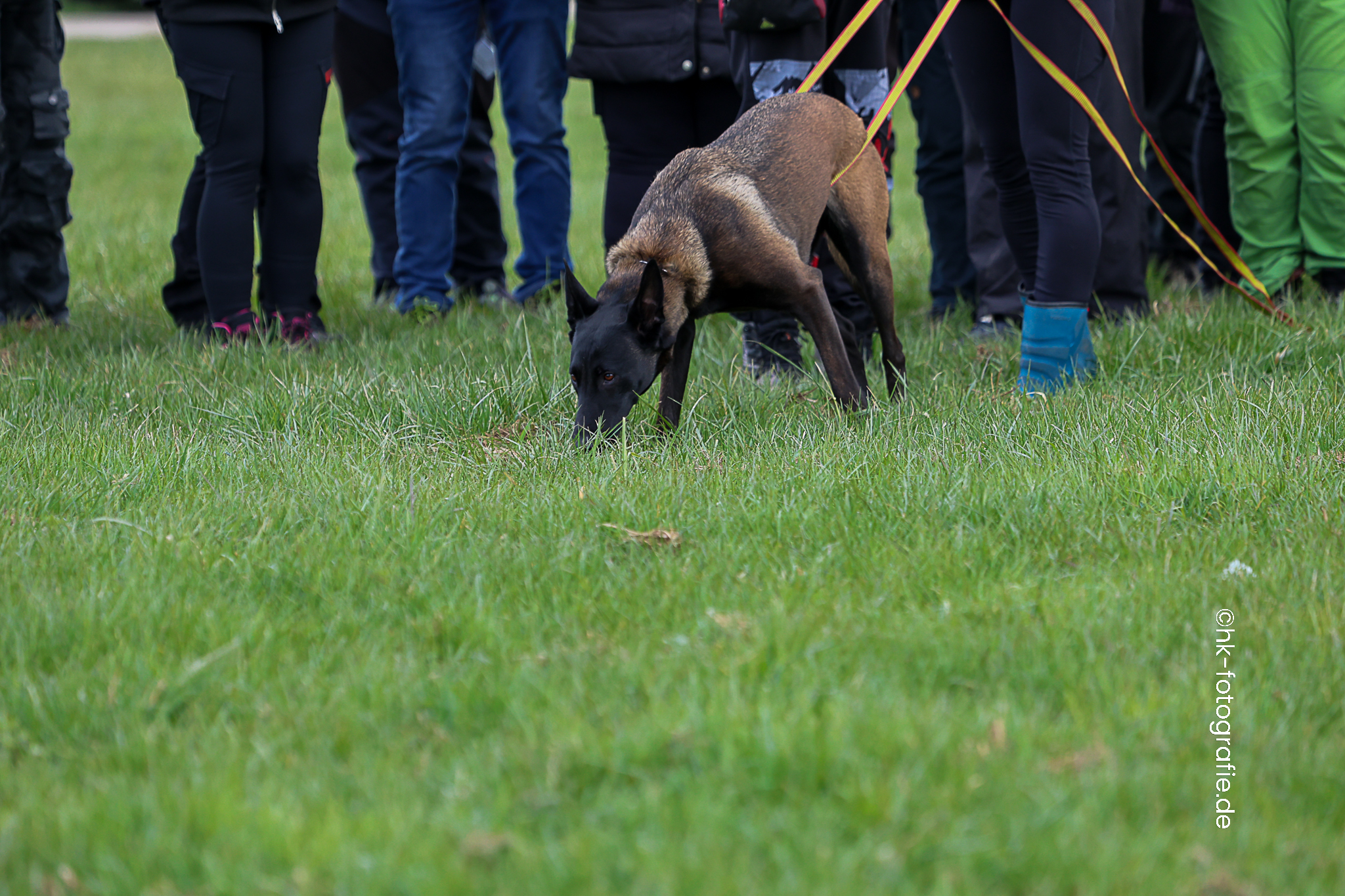 20260327_KNUTFUCHS-86