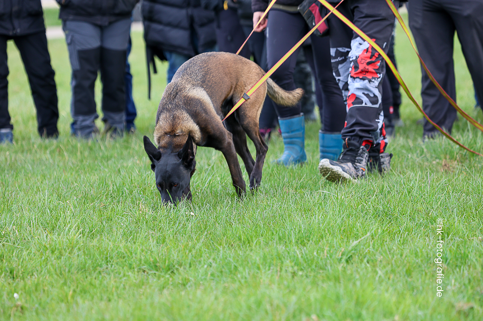 20260327_KNUTFUCHS-87