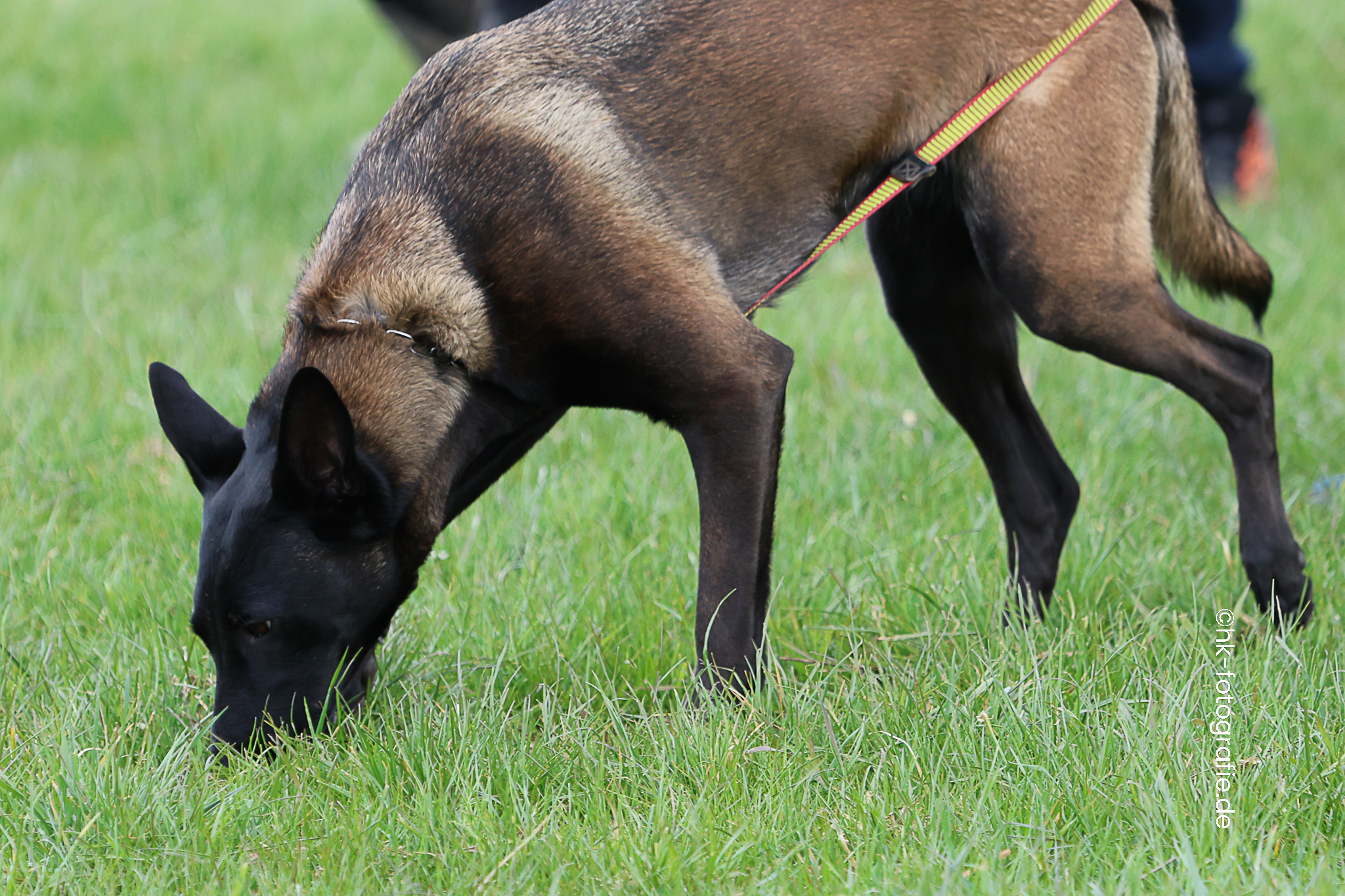 20260327_KNUTFUCHS-88