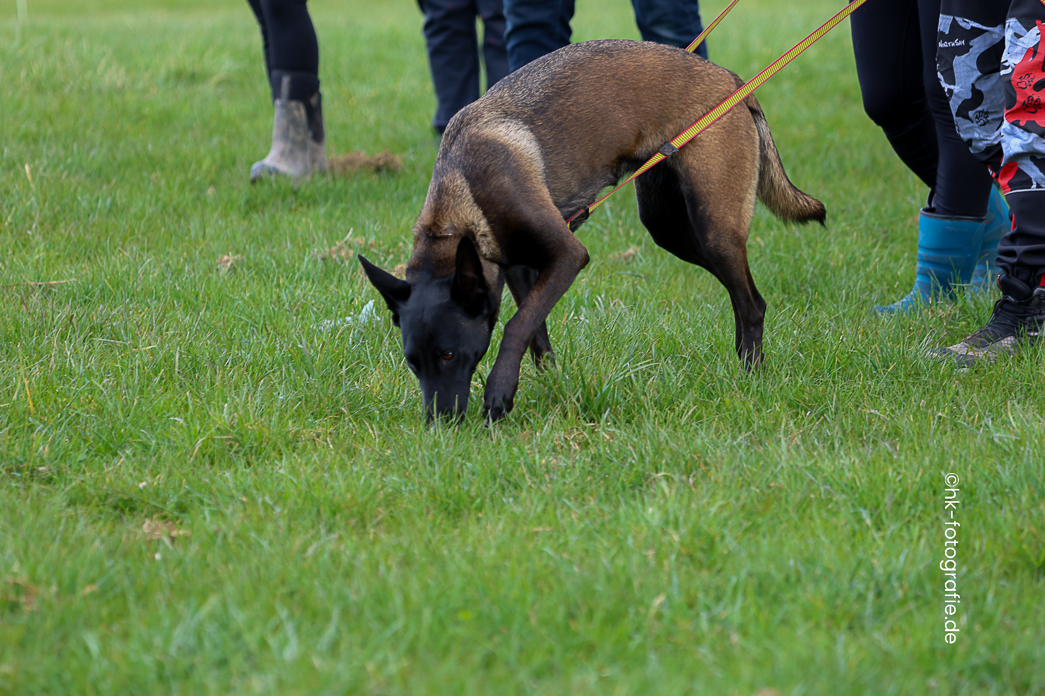 20260327_KNUTFUCHS-89