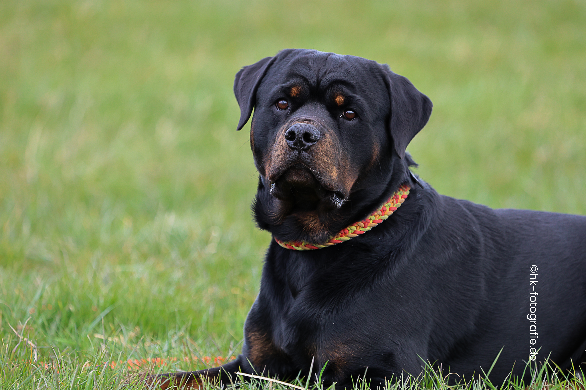 20260327_KNUTFUCHS-93