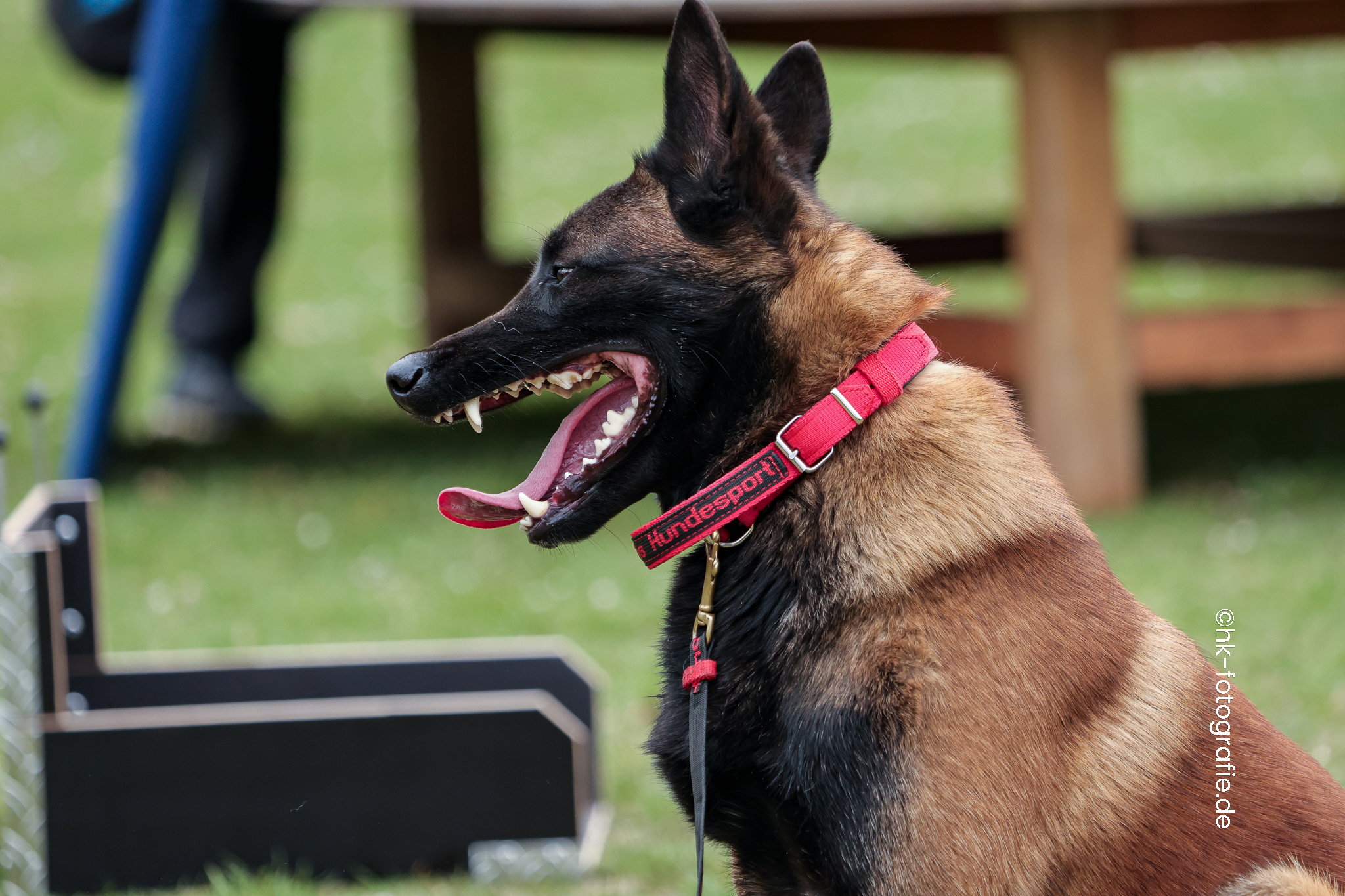 20260328_KNUTFUCHS-104