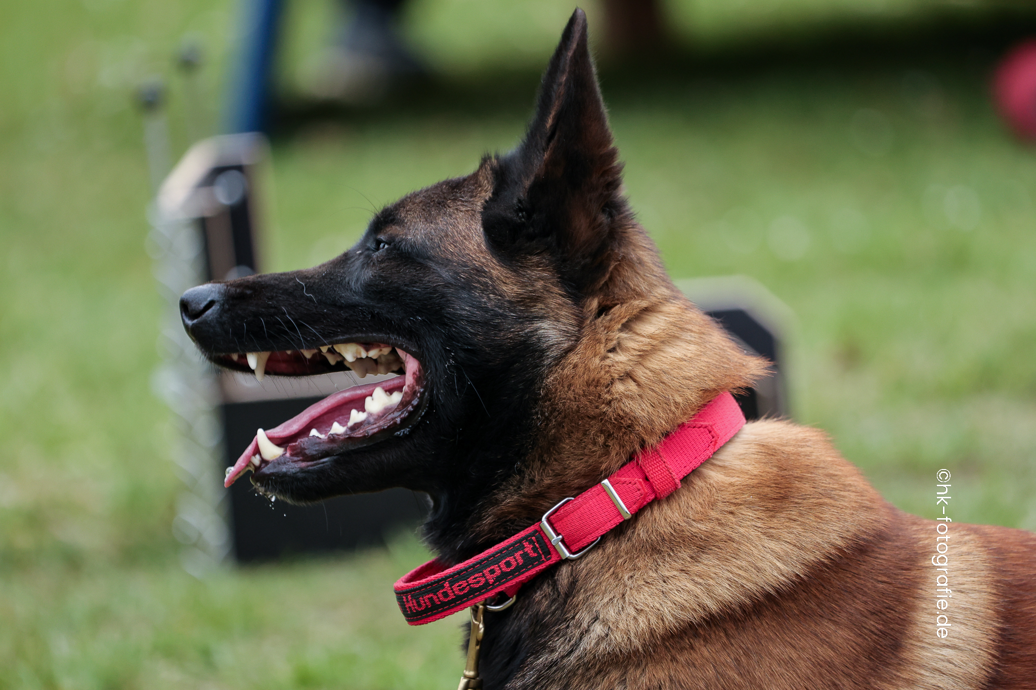 20260328_KNUTFUCHS-107