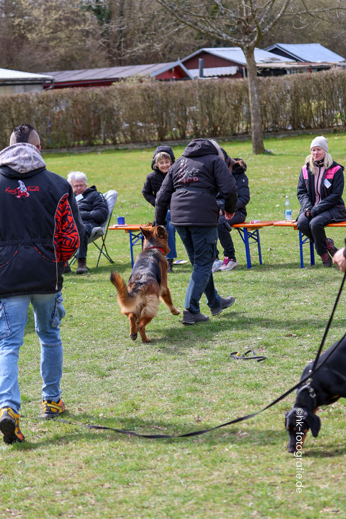 20260328_KNUTFUCHS-11