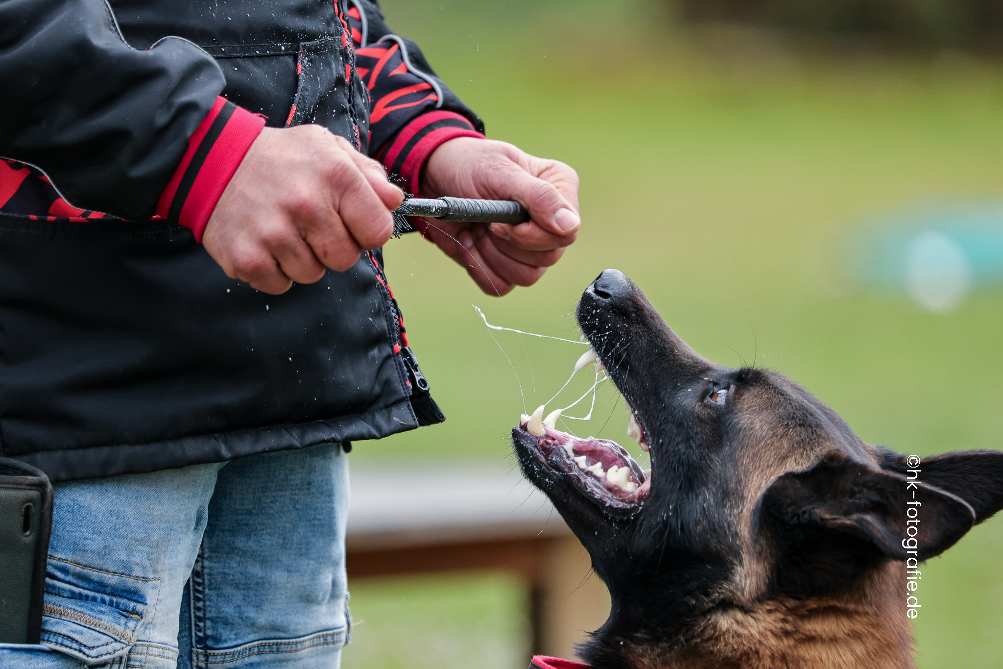 20260328_KNUTFUCHS-115