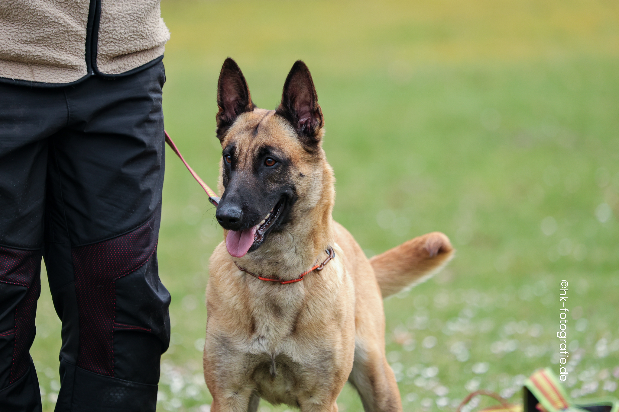 20260328_KNUTFUCHS-119