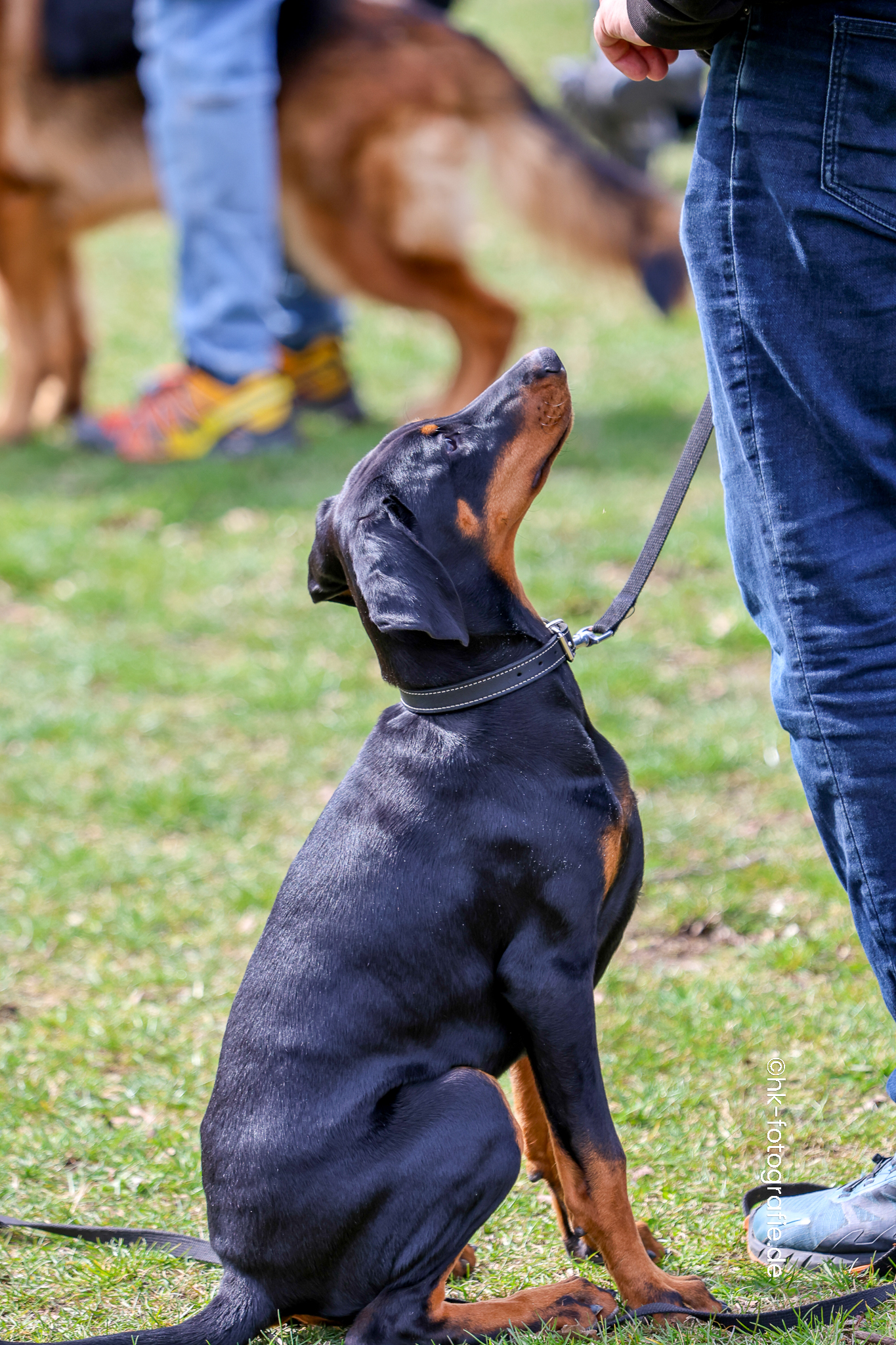 20260328_KNUTFUCHS-12