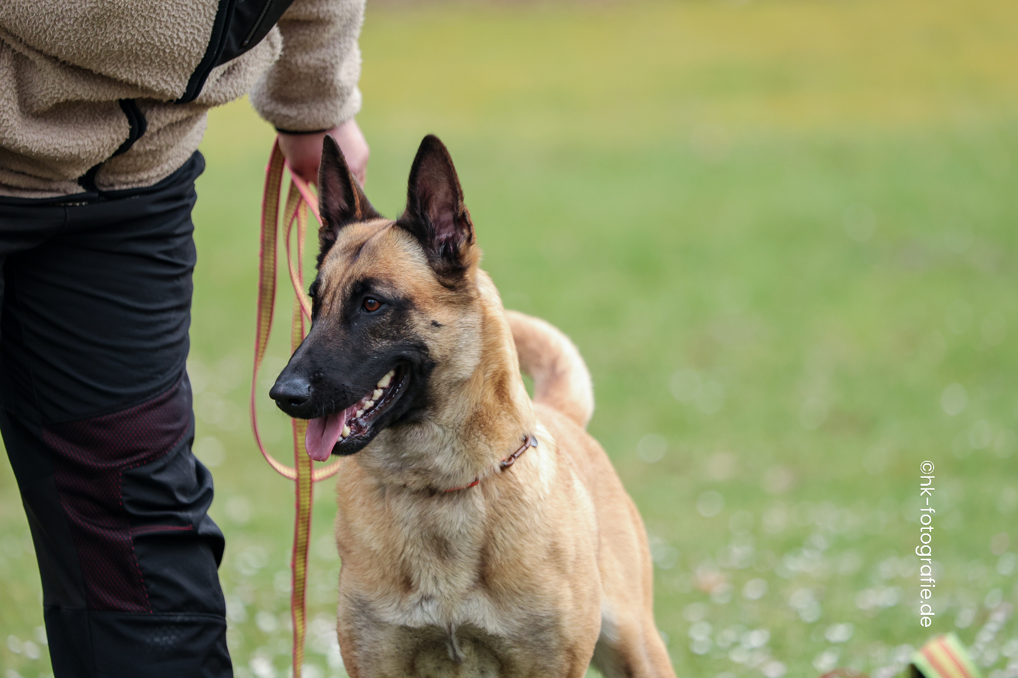 20260328_KNUTFUCHS-121