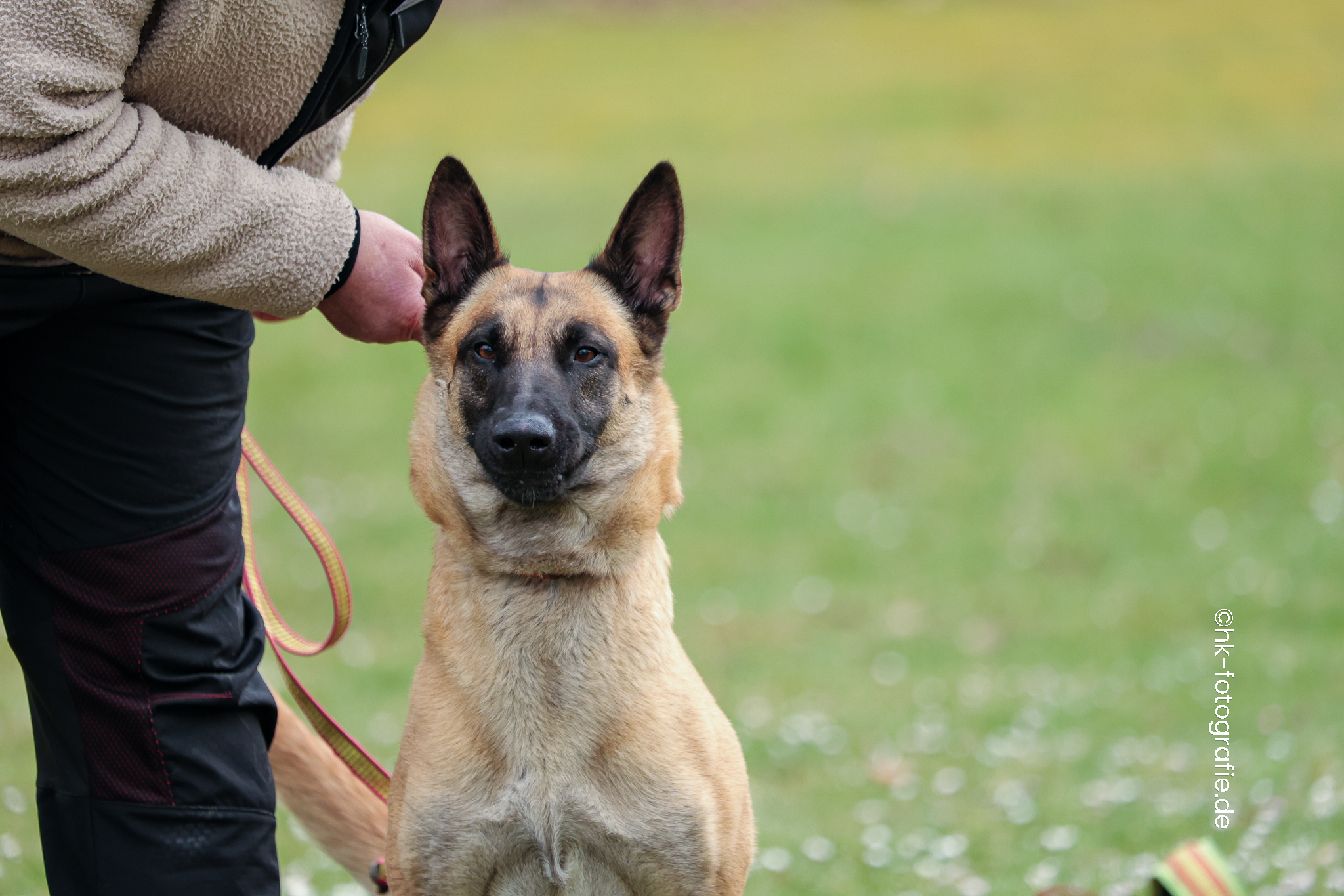 20260328_KNUTFUCHS-122