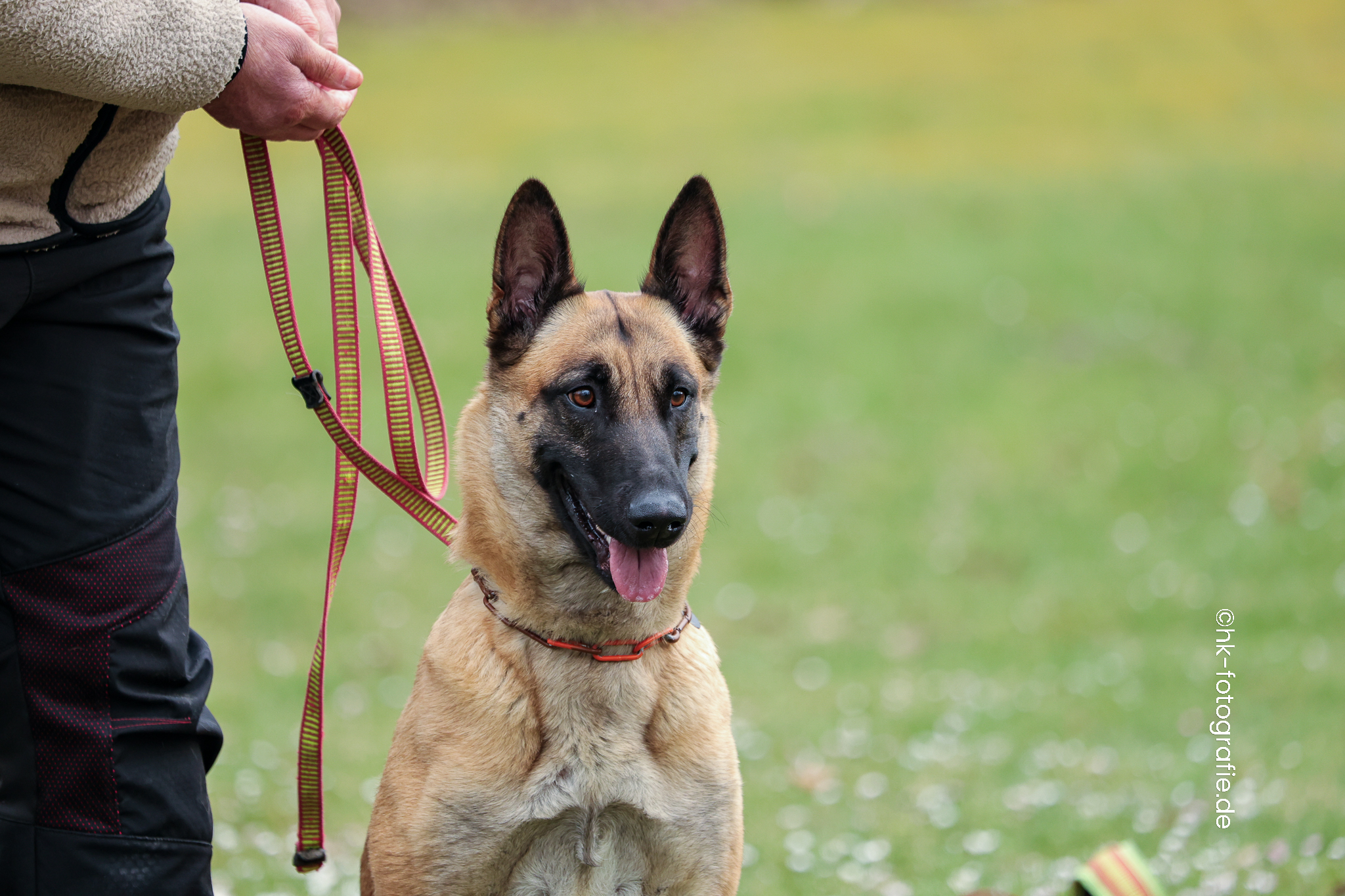 20260328_KNUTFUCHS-124