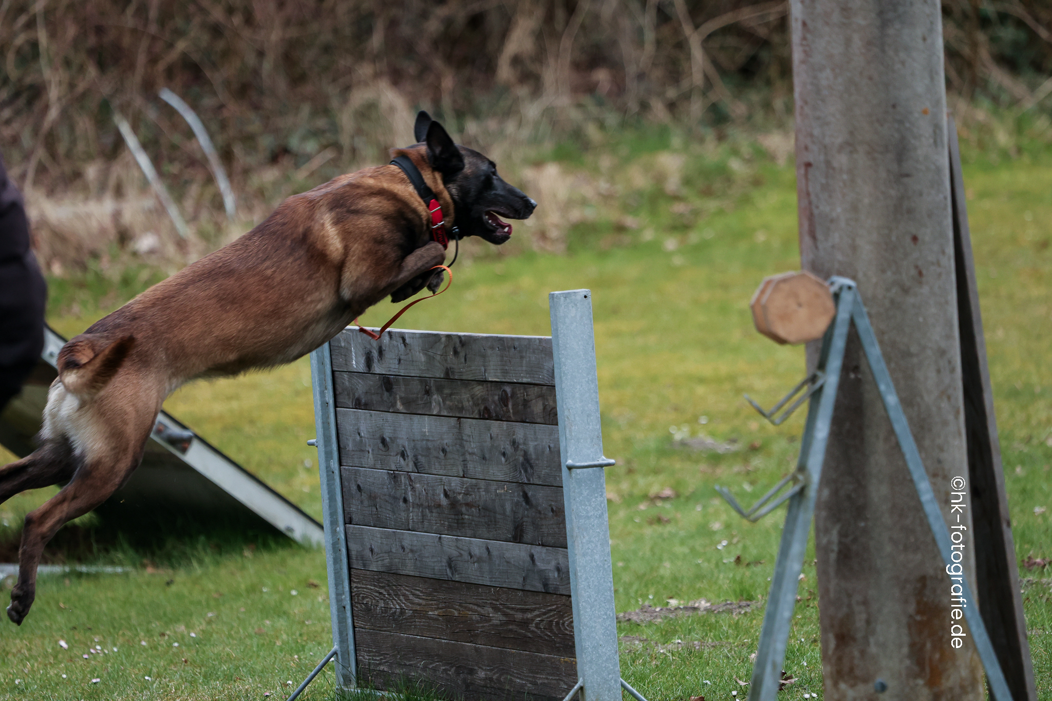 20260328_KNUTFUCHS-135