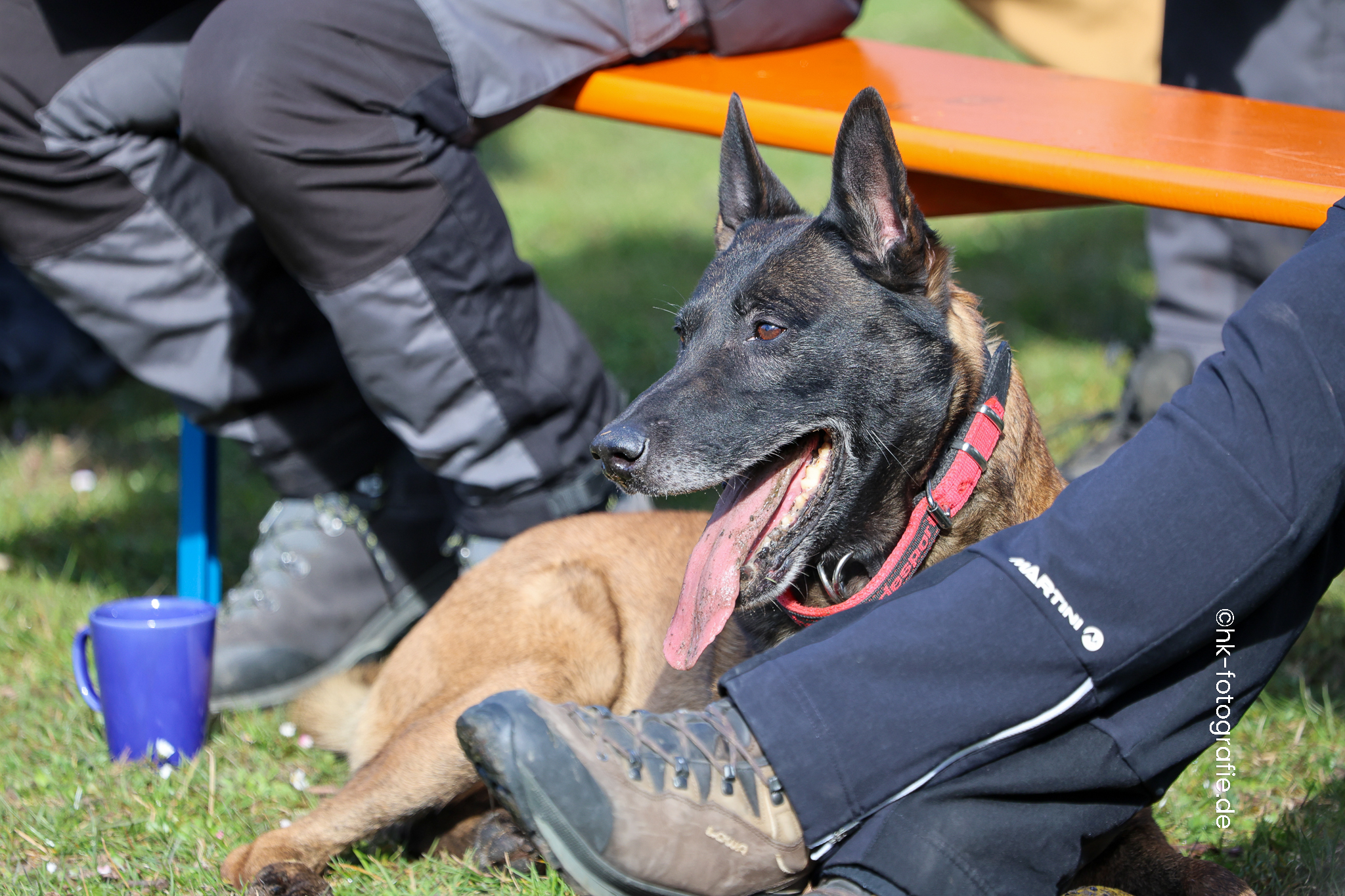 20260328_KNUTFUCHS-3