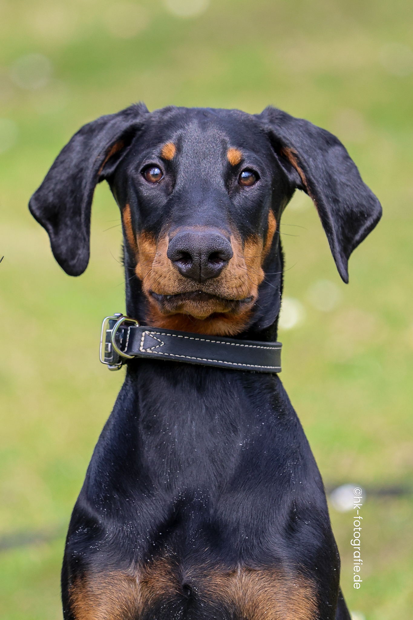 20260328_KNUTFUCHS-30