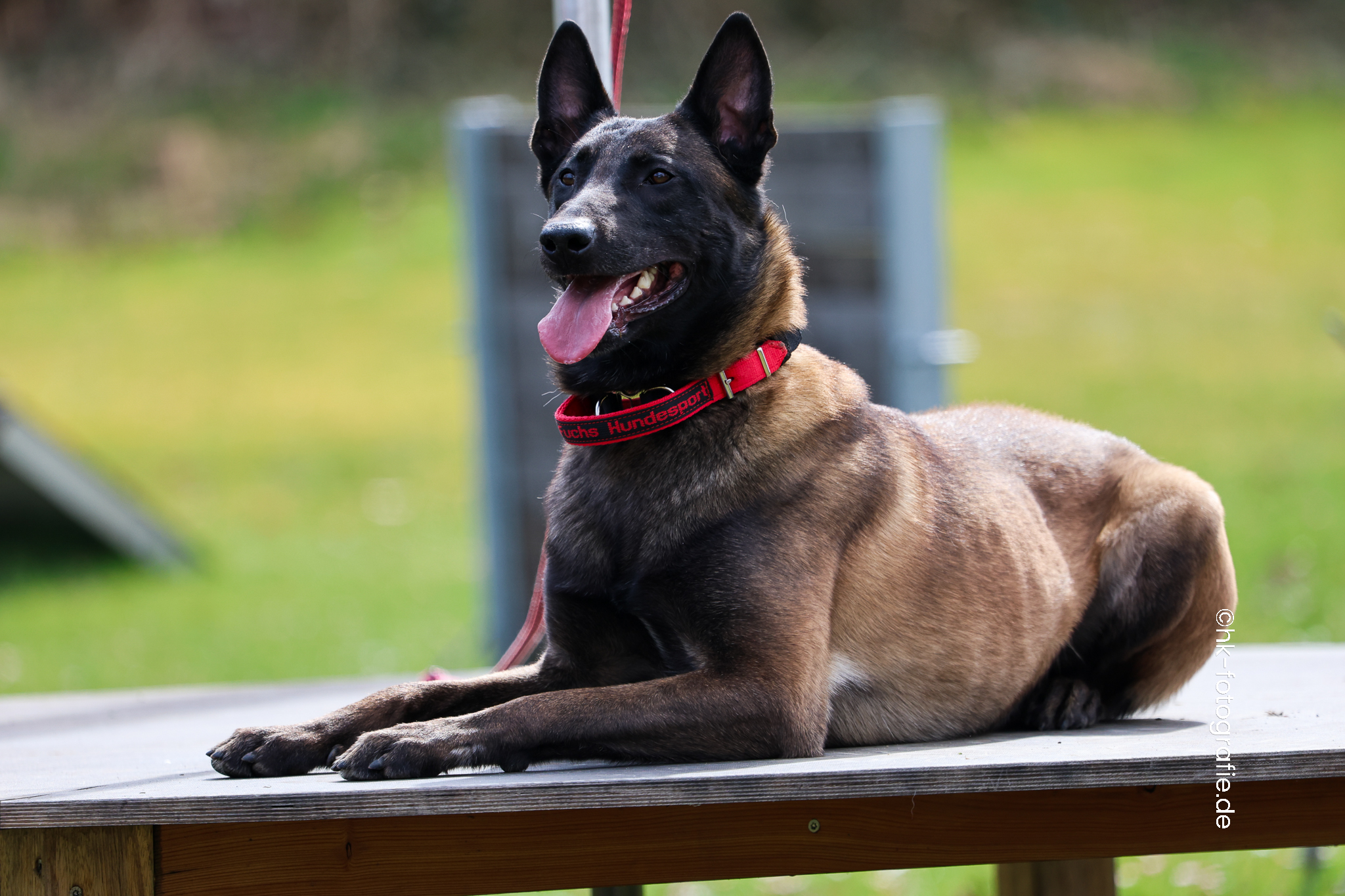 20260328_KNUTFUCHS-56