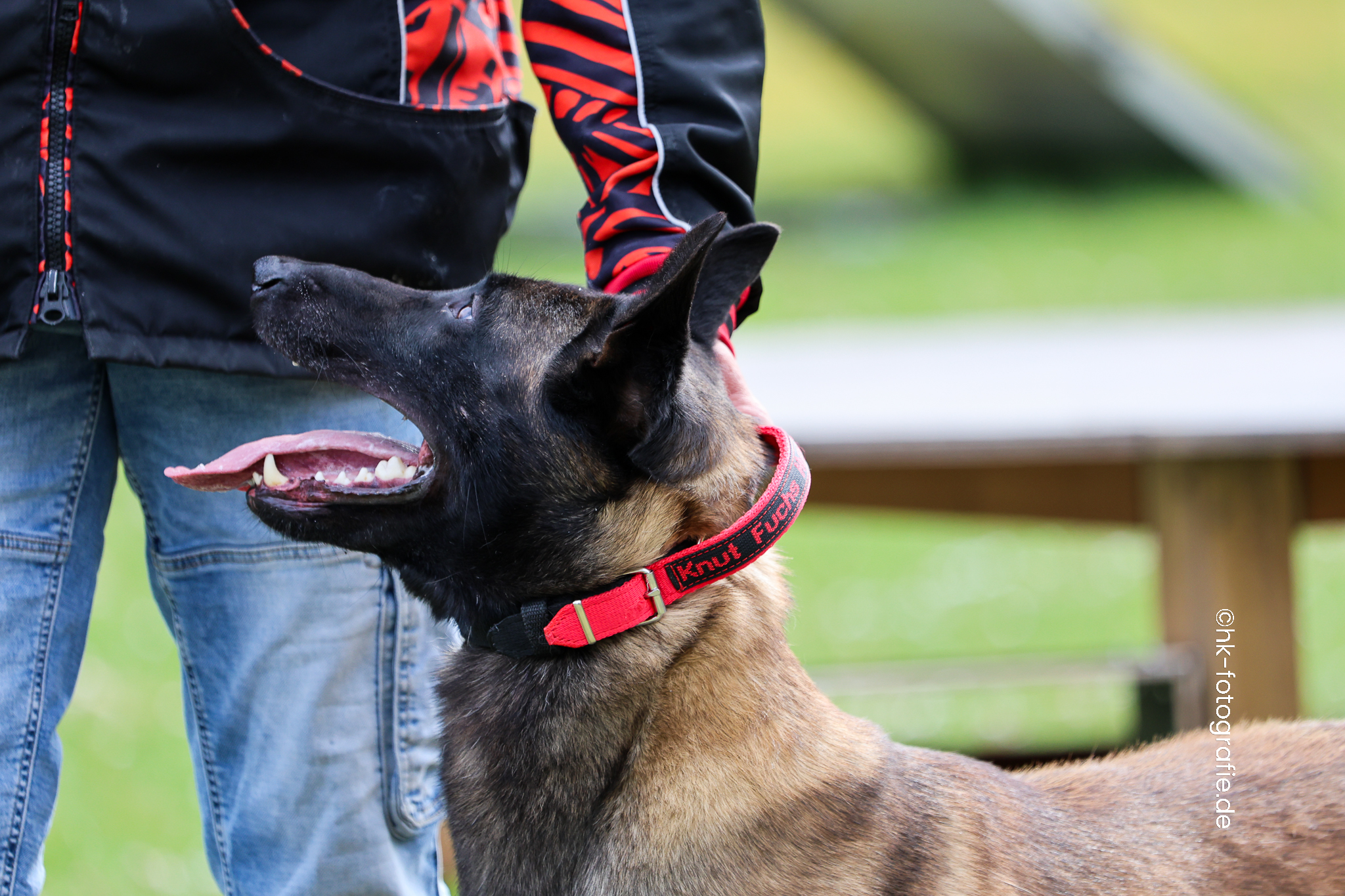 20260328_KNUTFUCHS-61