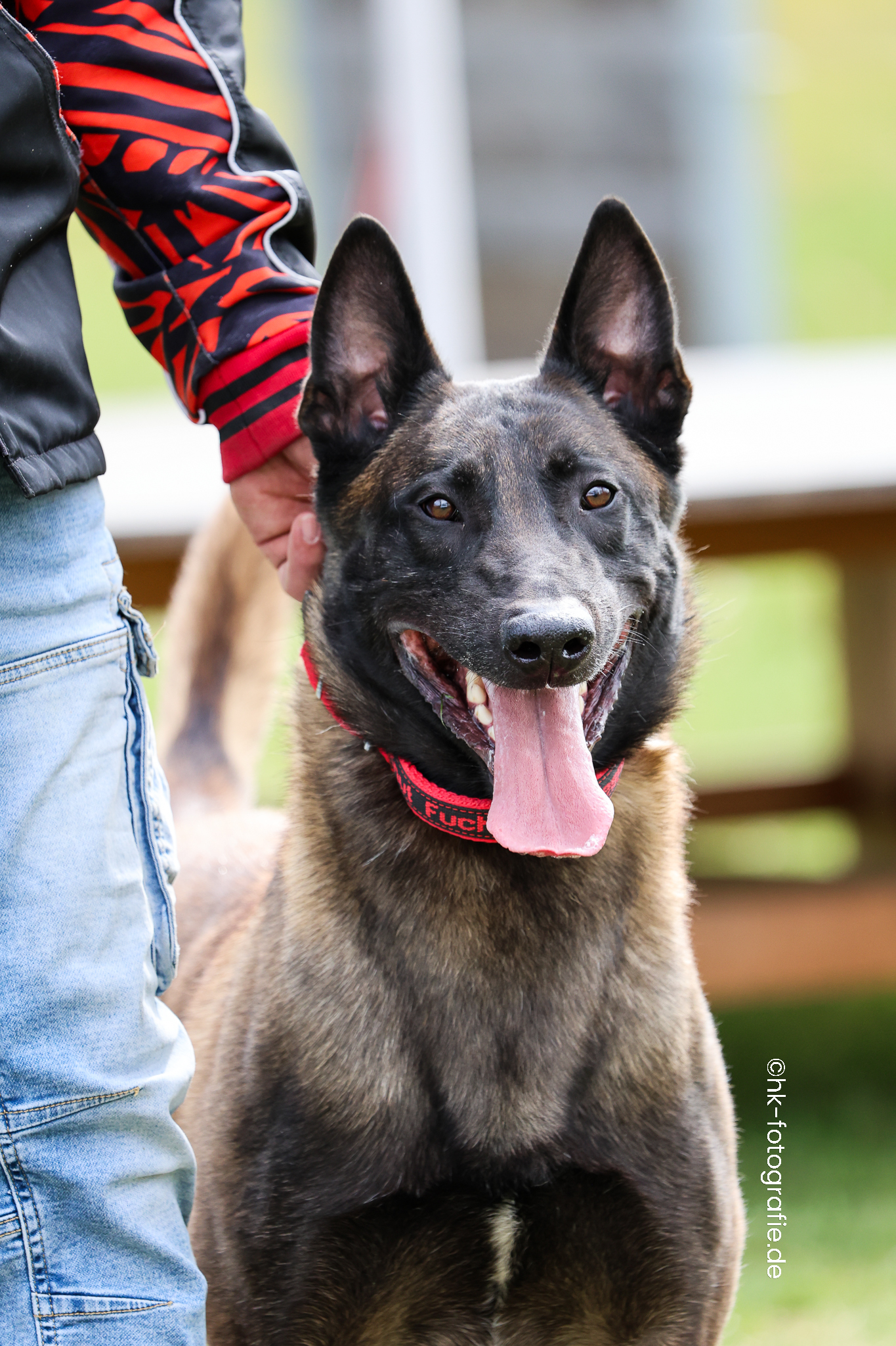 20260328_KNUTFUCHS-64