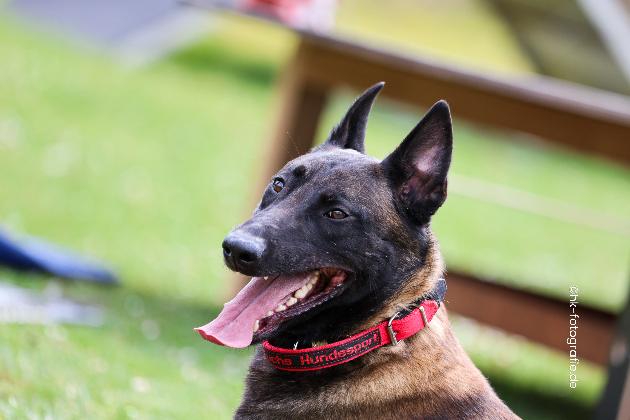 20260328_KNUTFUCHS-65