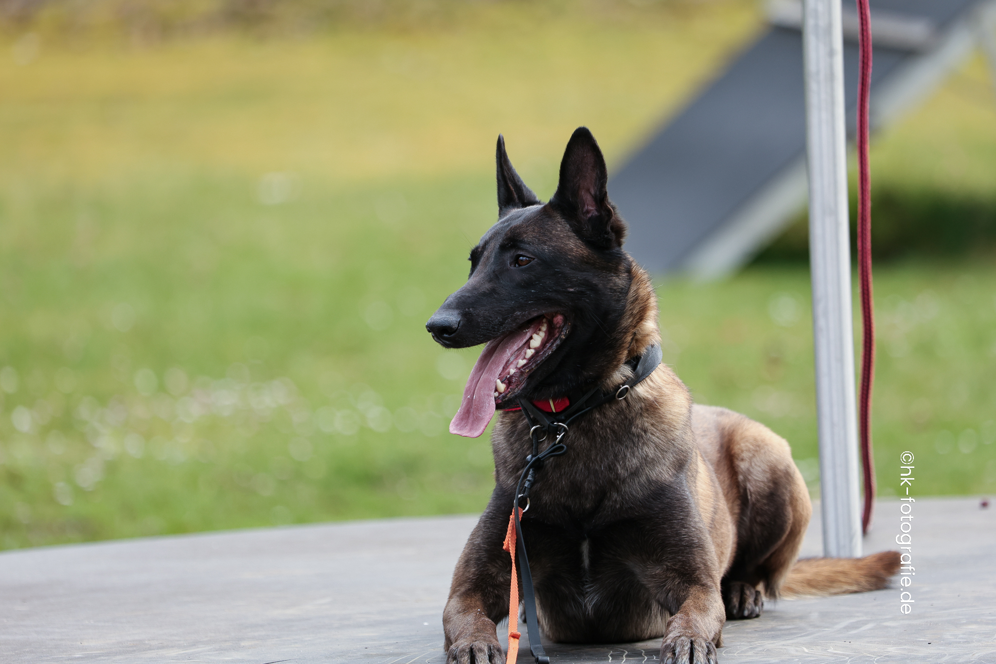 20260328_KNUTFUCHS-82