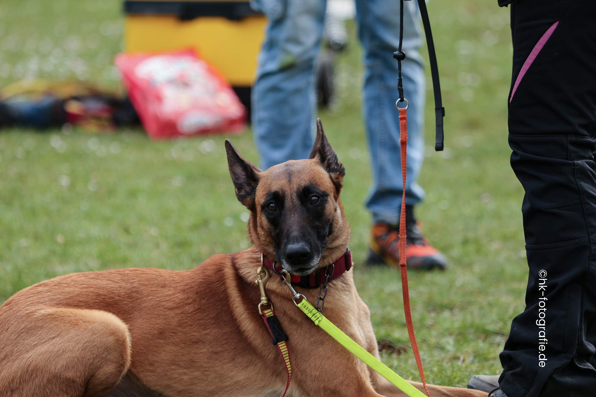 20260328_KNUTFUCHS-83