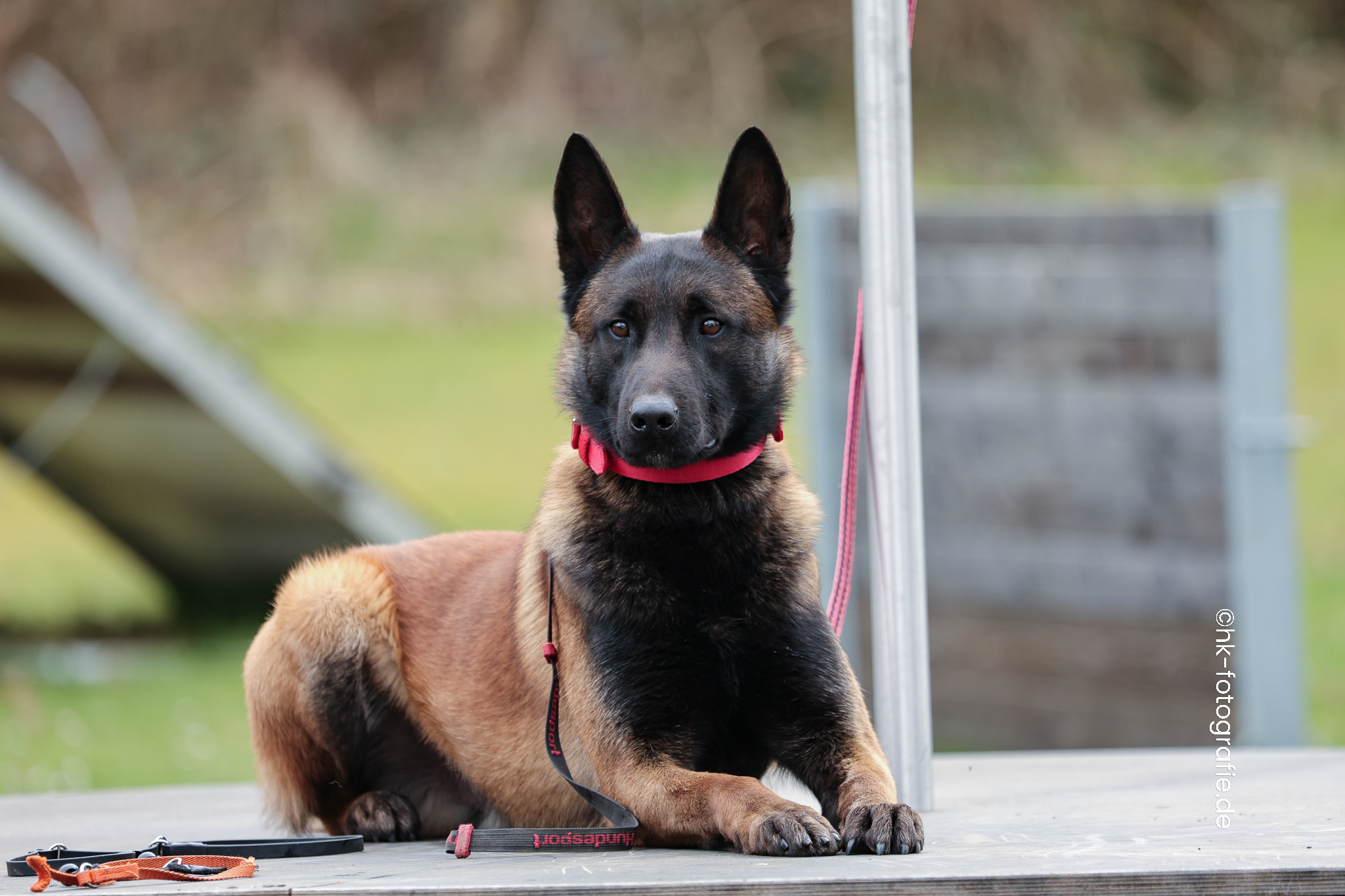 20260328_KNUTFUCHS-94