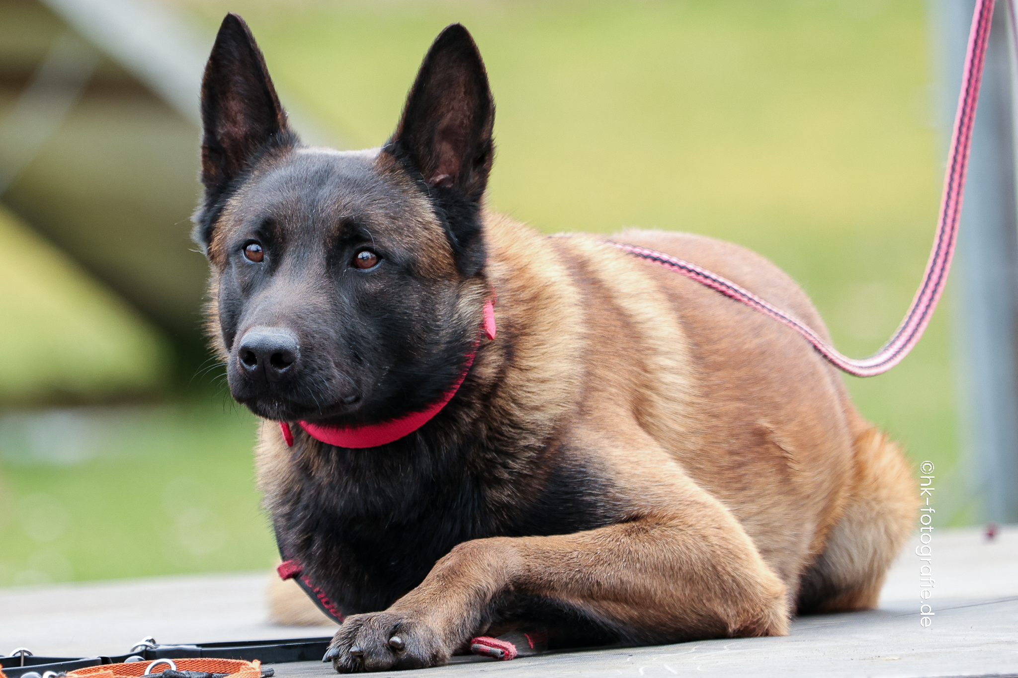 20260328_KNUTFUCHS-96