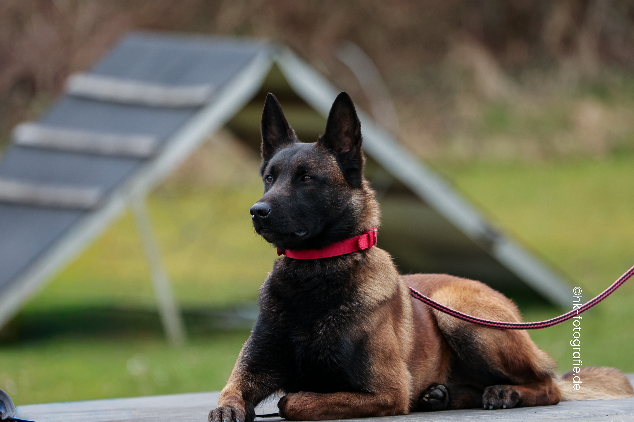 20260328_KNUTFUCHS-97